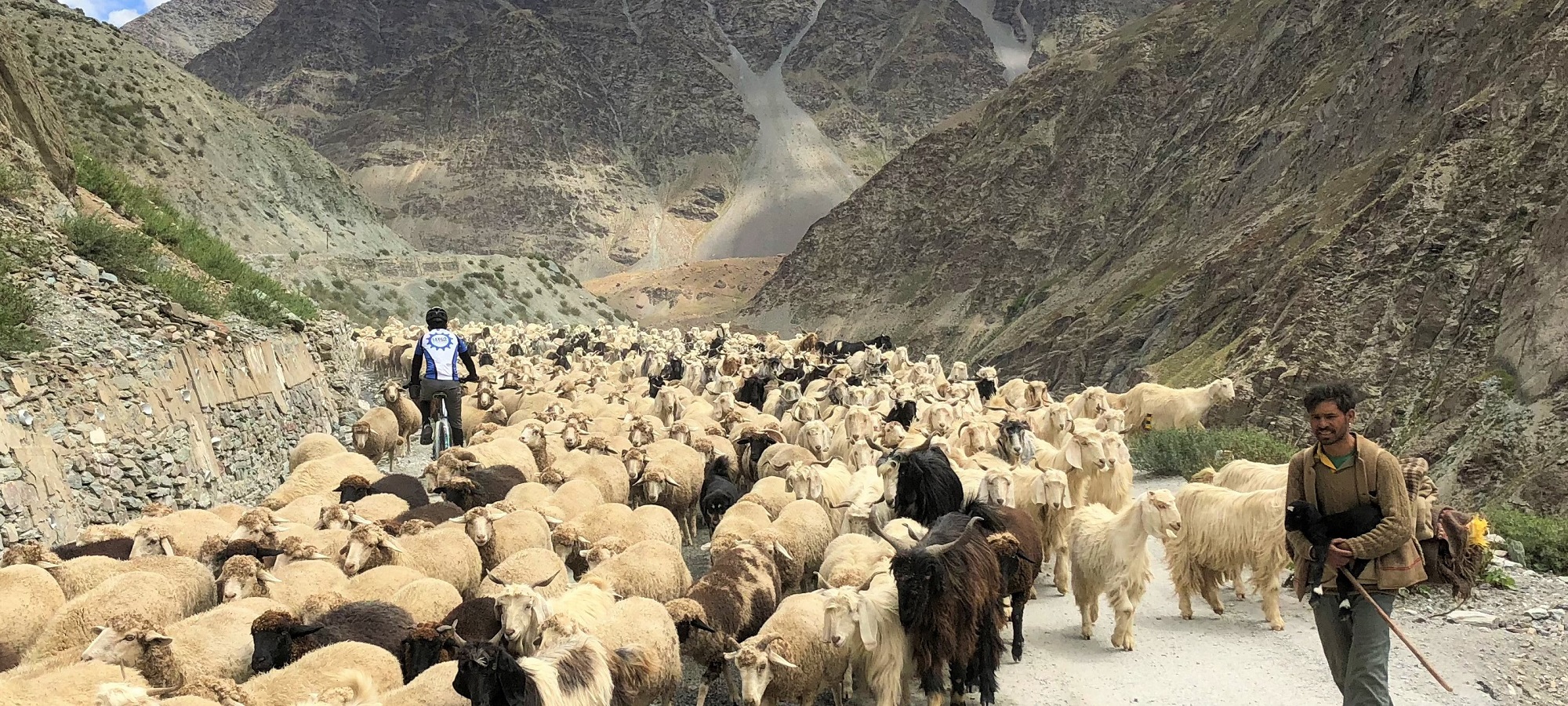 Photos from our Indian Himalayas Cycling Holiday